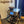 Grëffset fir Sage Barista Touch Impress