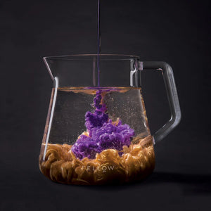 Transparent Servéierkanne aus Glas mat engem moderne Design fir Baristaen a präzis Kaffiservéierung, déi neiste Neiegkeeten, alles iwwer Kaffi.