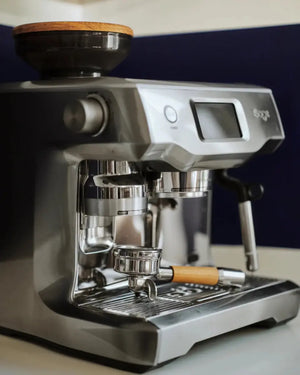 BAARK Holzdeckel – The Bean II fir Sage Bounbehälter - Barista an Espresso
