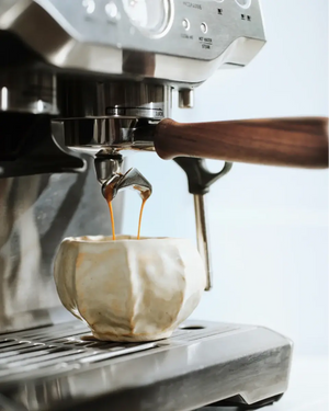 Portafilter fir d'Sage Barista Serie (54 mm) - Barista an Espresso